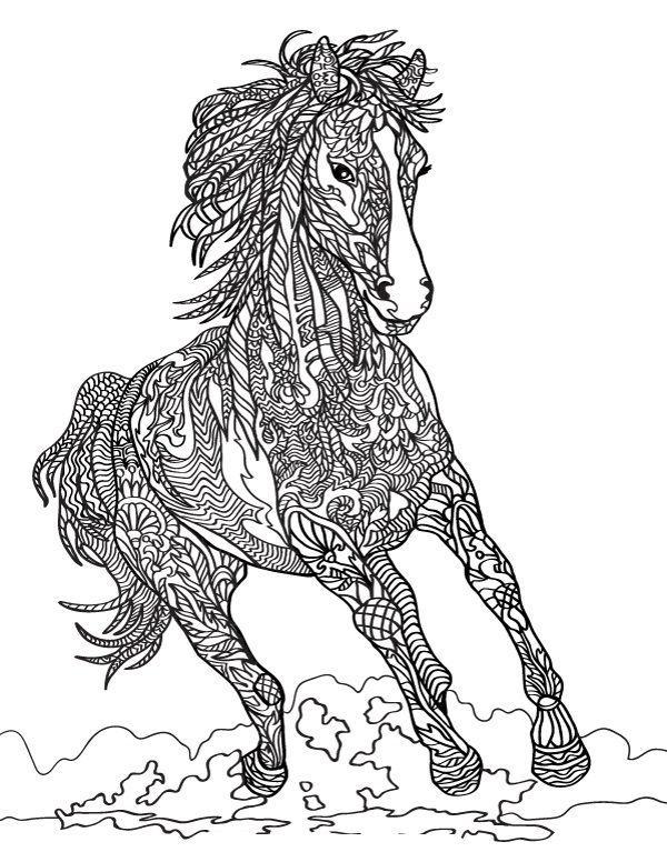 adult horse coloring pages