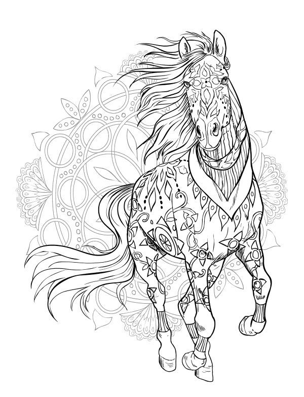 advanced horse coloring pages