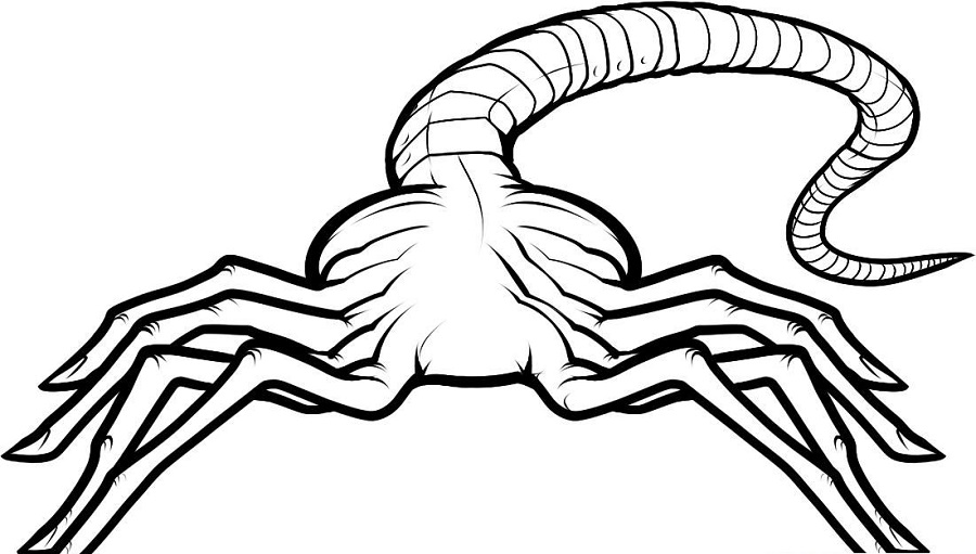 Alien Facehugger Coloring Page