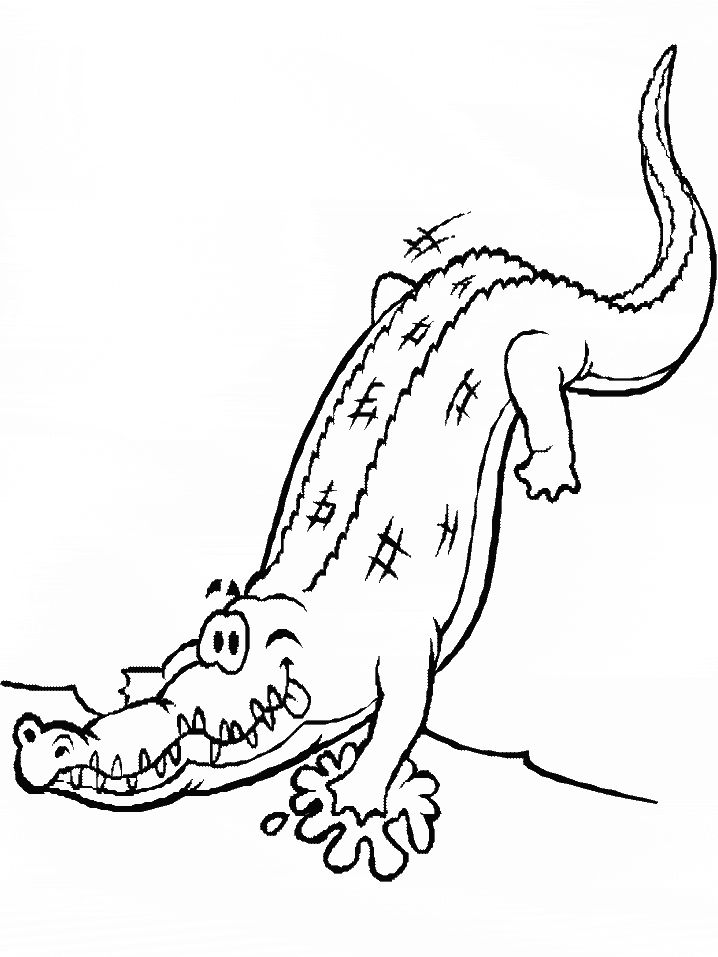 Realistic Alligator Coloring Pages