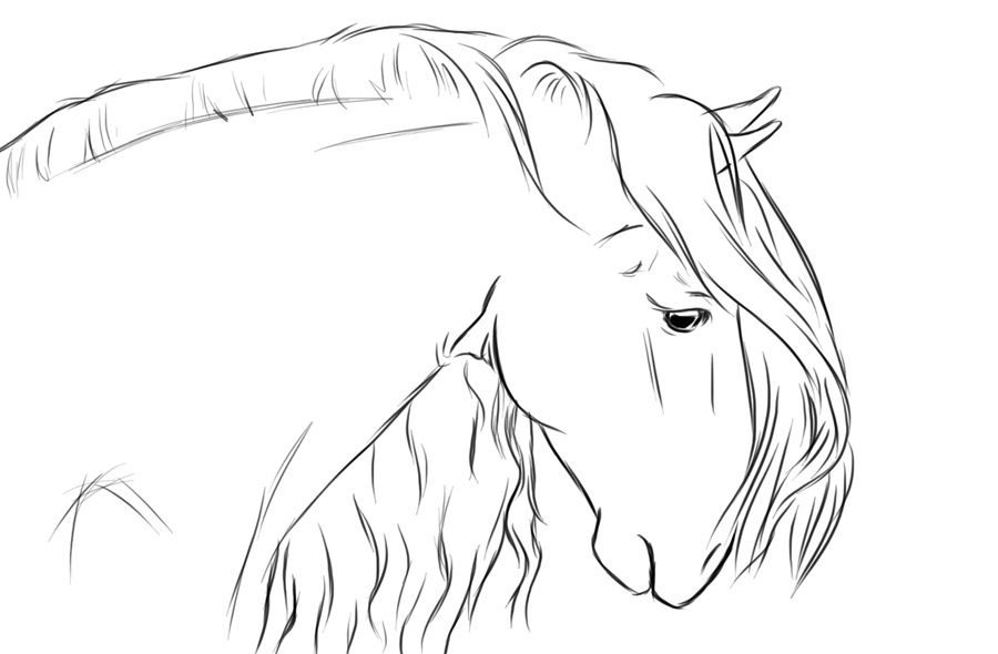 andalusian horse coloring pages