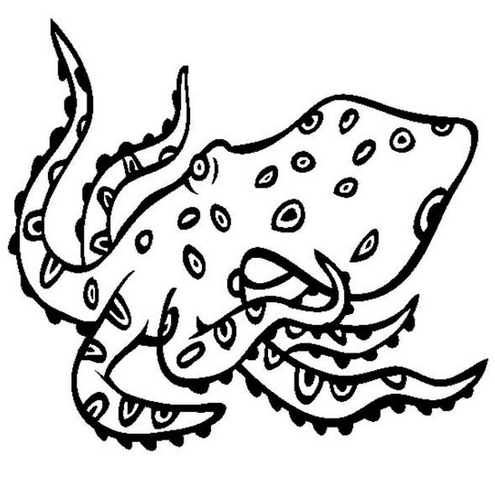 angry octopus coloring page