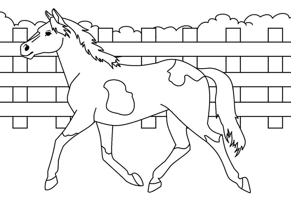 animal coloring pages horse