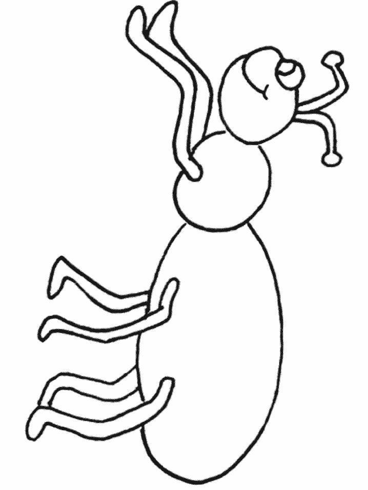 Ant Coloring Pages