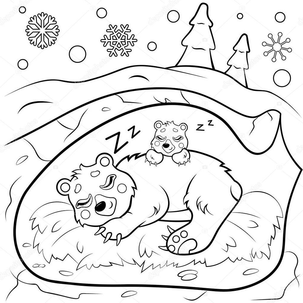 animals in winter coloring pages hibernation