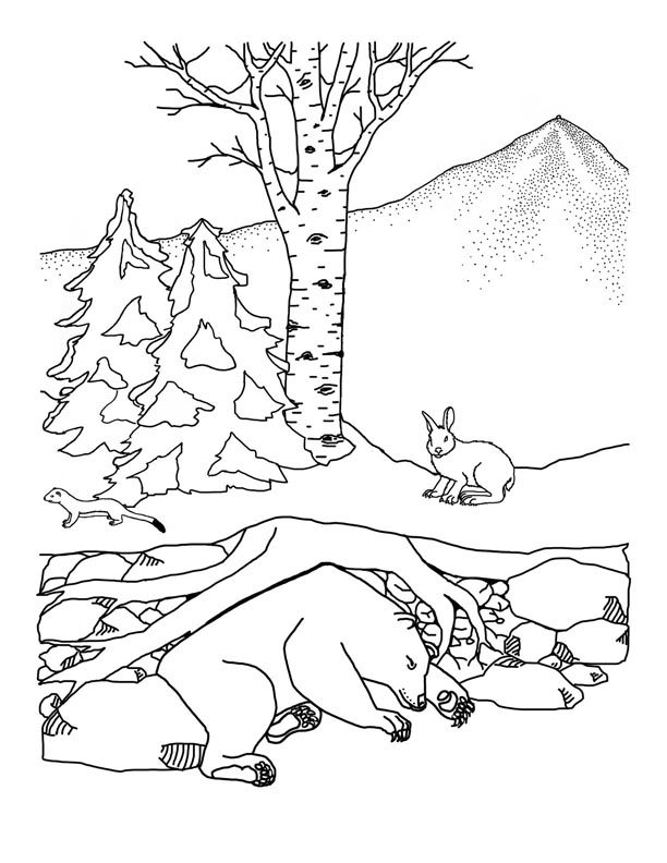 animals that hibernate in winter coloring pages