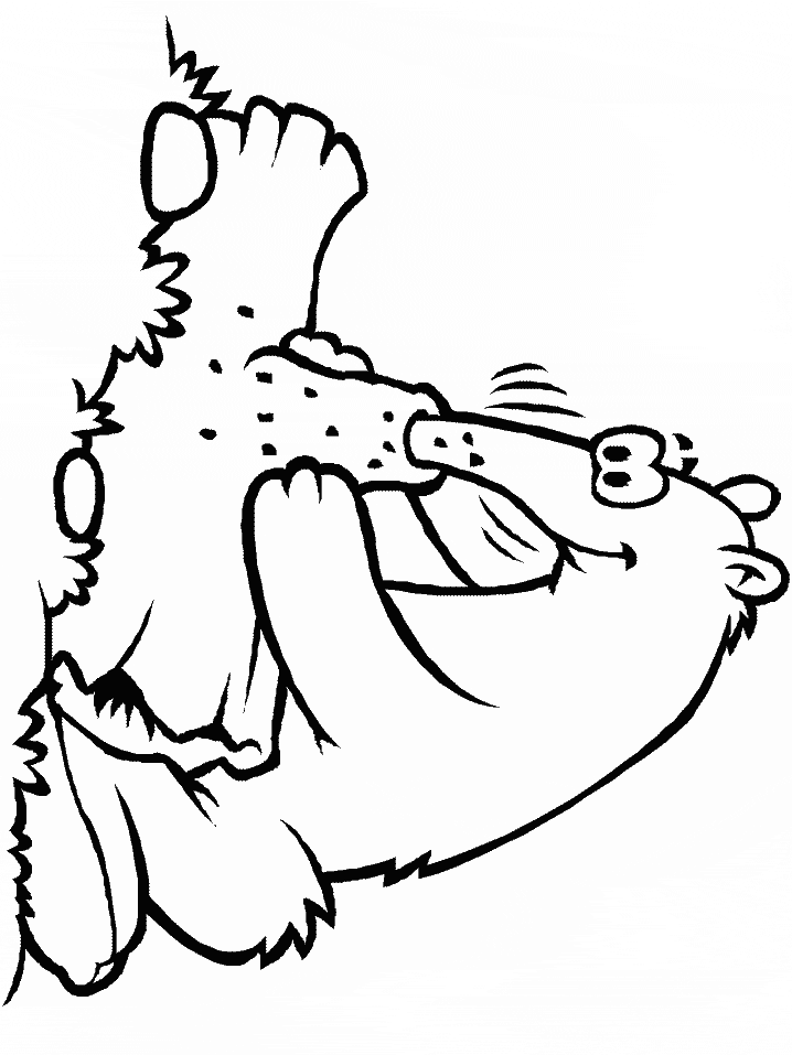 Anteater Coloring Page