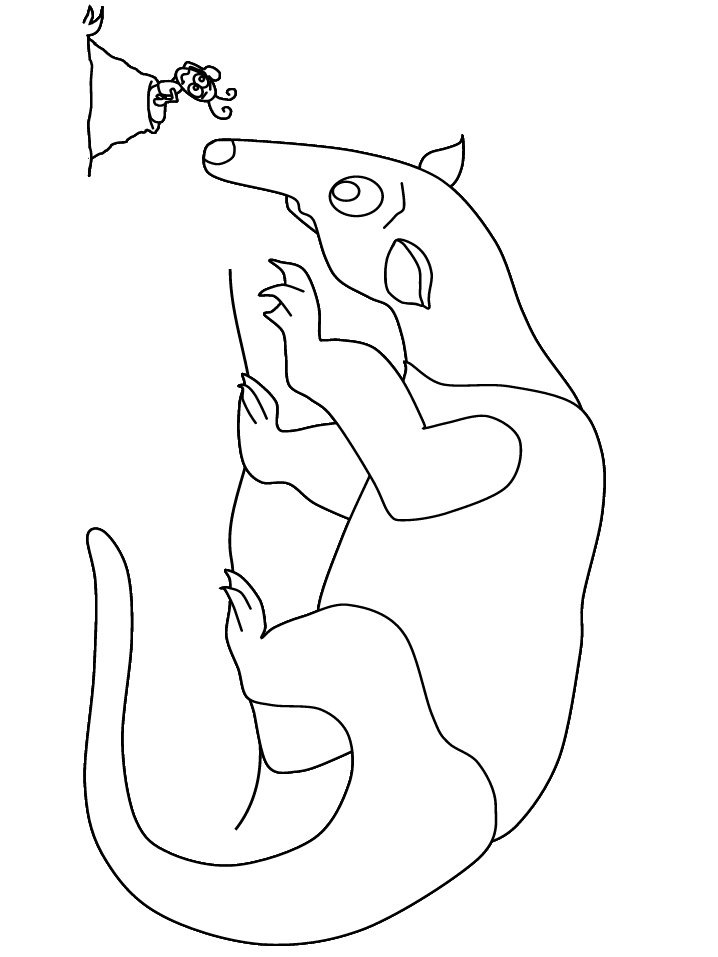 Anteater4 Animals Coloring Pages