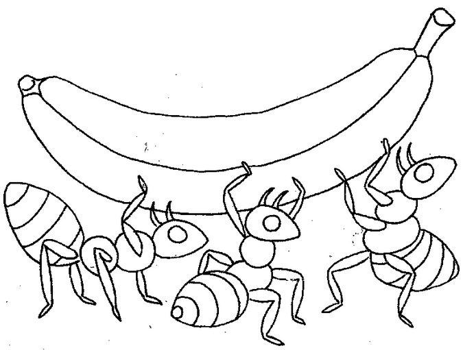 Ants Food coloring page