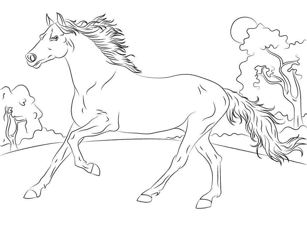 arabian horse herd coloring pages