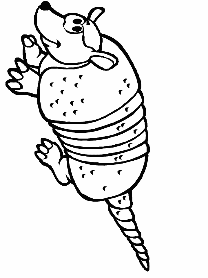 Armadillo Animals Coloring Pages