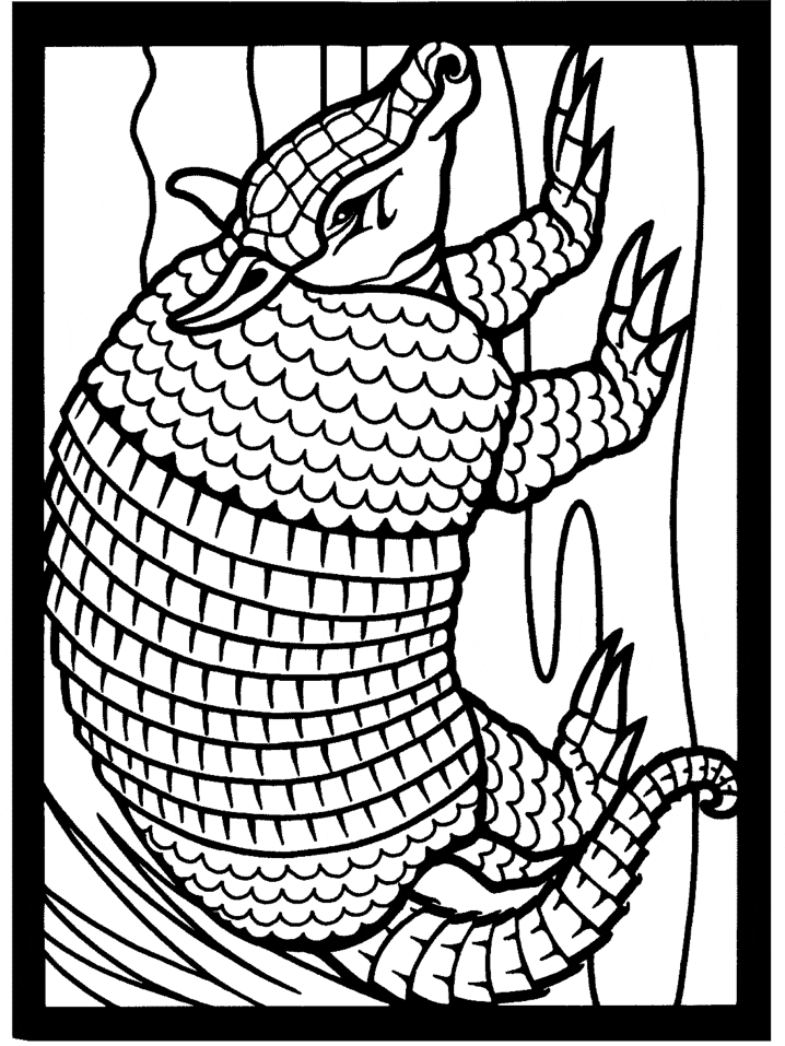 Armadillo Coloring Page