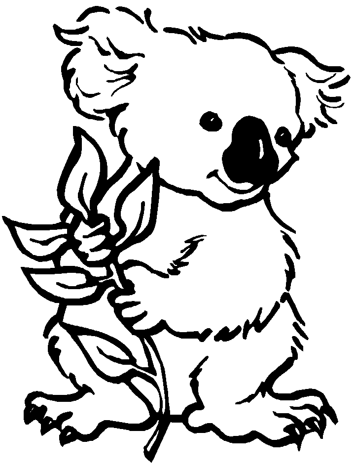 Australia Koala Coloring Pages