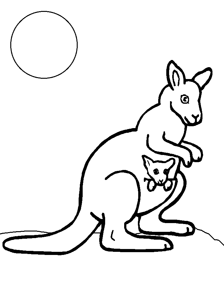 Australia Kangaroo Coloring Page