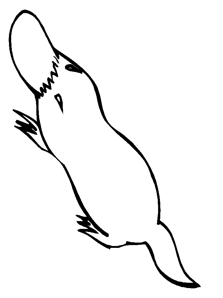 Australia Platypus Coloring Pages