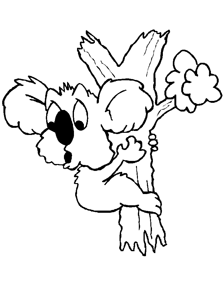 Australia Koala Coloring Page