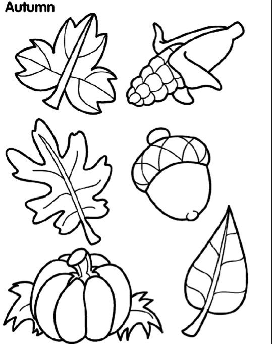 Autumn coloring page