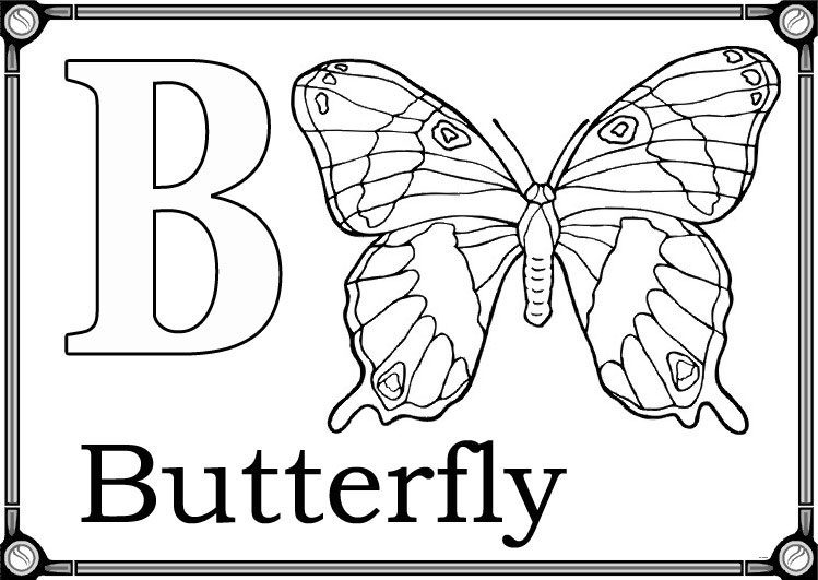b for butterfly coloring pages