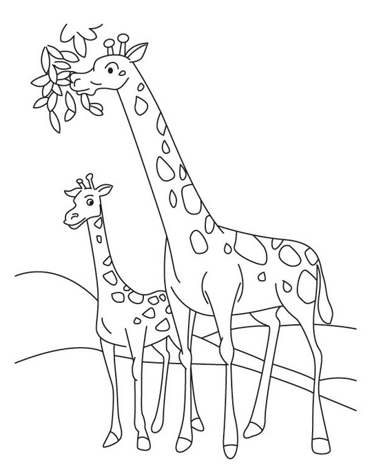 baby-giraffe-coloring-page - Coloring Page Book