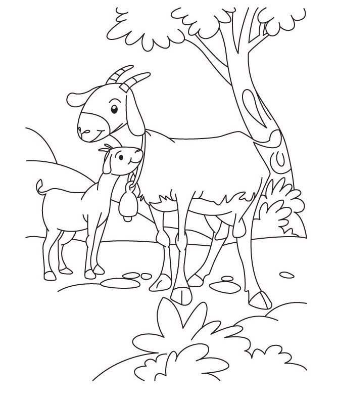 Baby Goat with mom coloring page