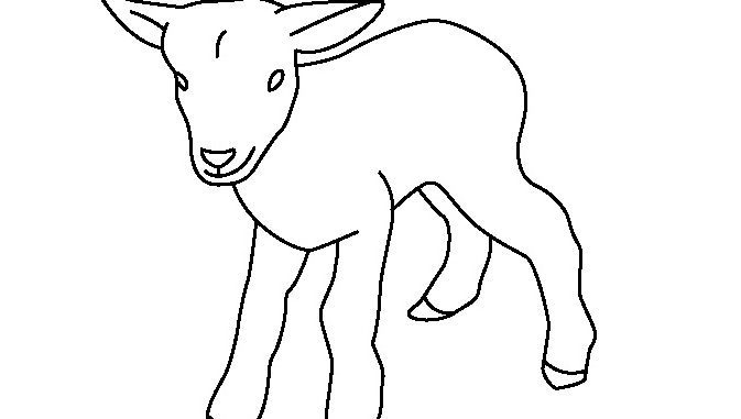 Baby Goat Coloring Page