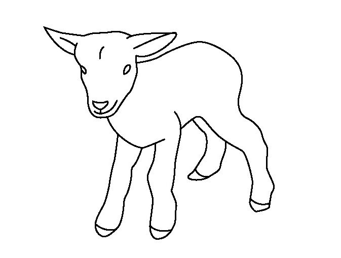 Baby Goat Coloring Page