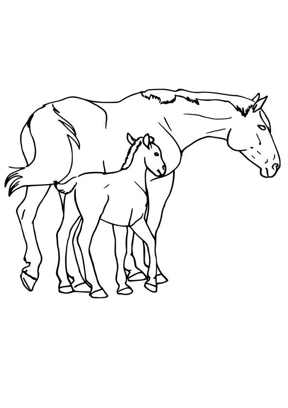 baby horse coloring pages with there mom