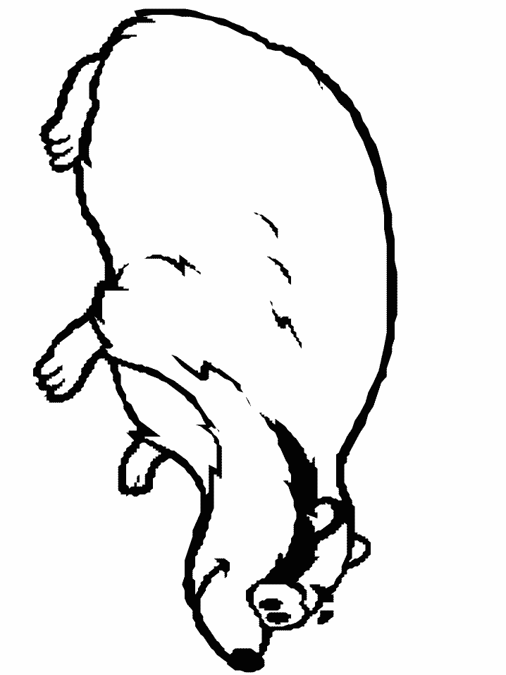 Badger Animals Coloring Pages