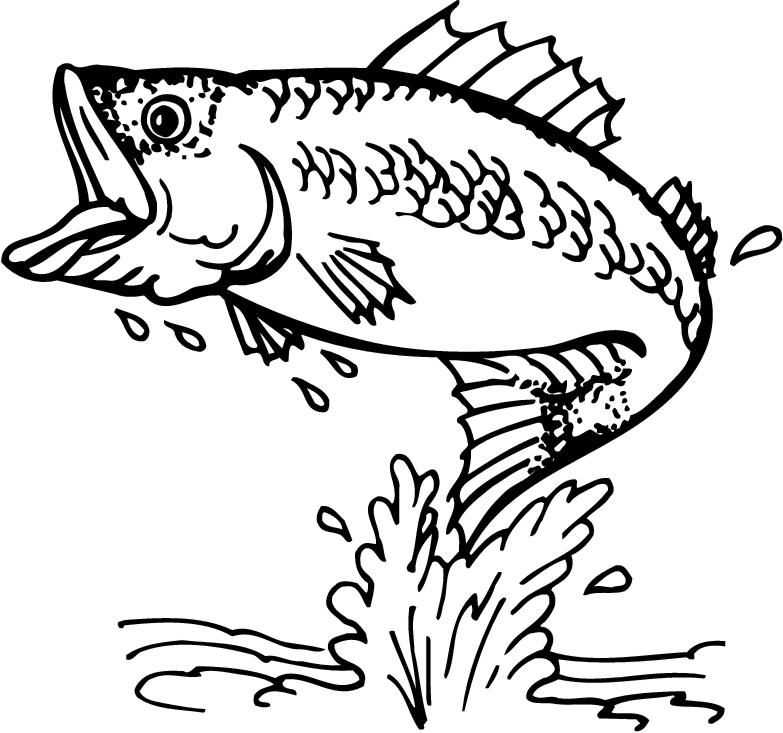 bass fish coloring pages