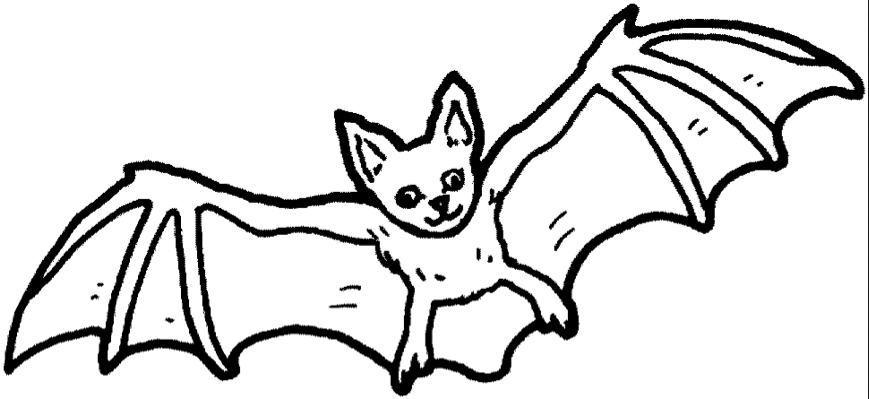 bat-coloring-page | Coloring Page Book
