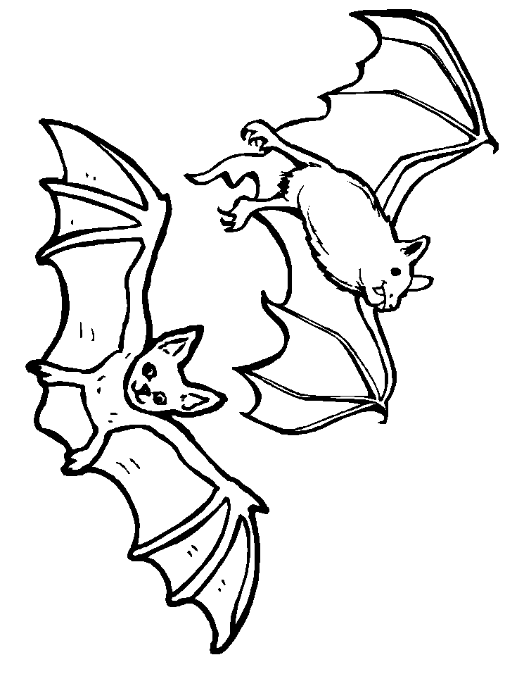 Bats Flying Coloring Pages
