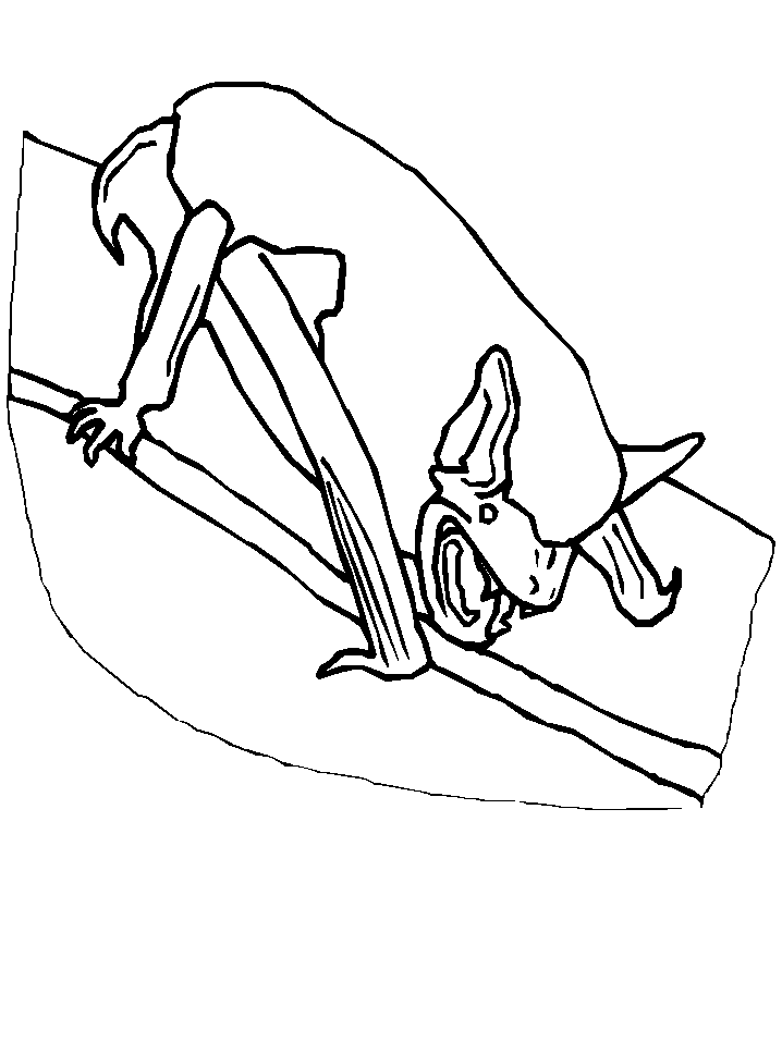 Scary Bat Coloring Pages