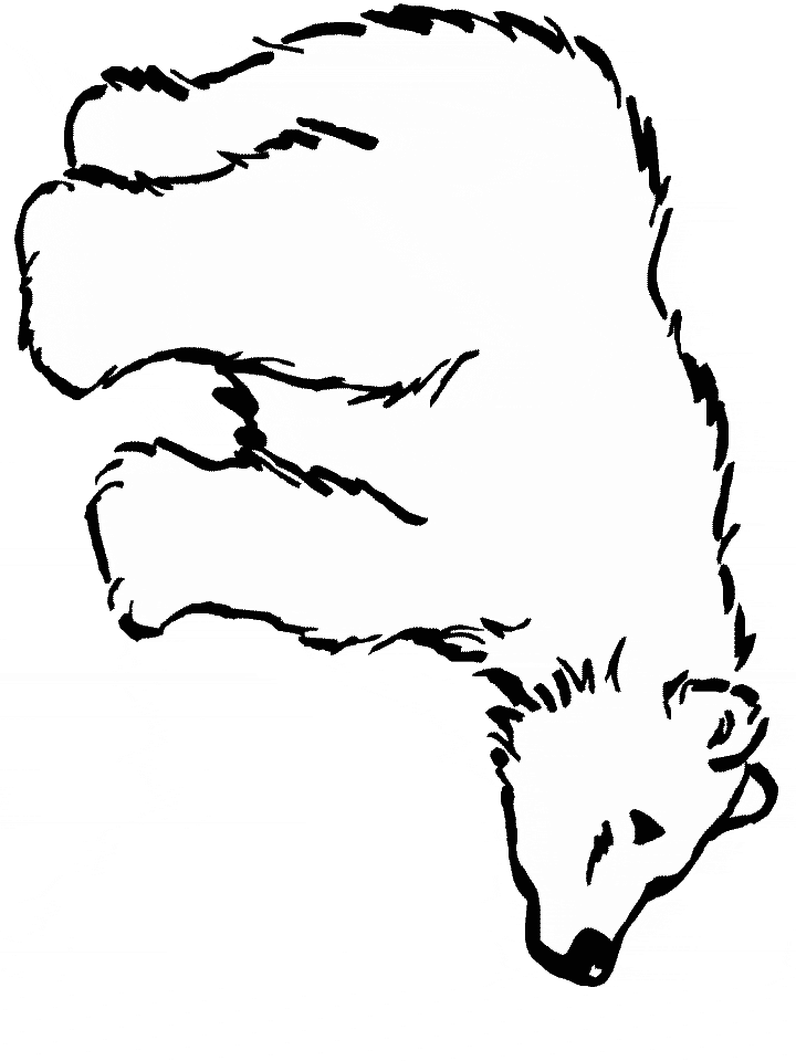 Polar Bears Coloring Pages