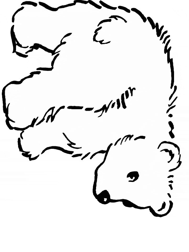 Polar Bear Coloring Pages