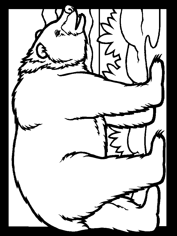 Wild Bear Coloring Pages