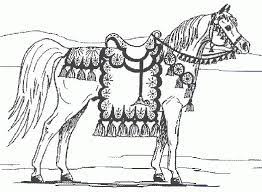 Beautiful Horse Coloring Pages Arabian