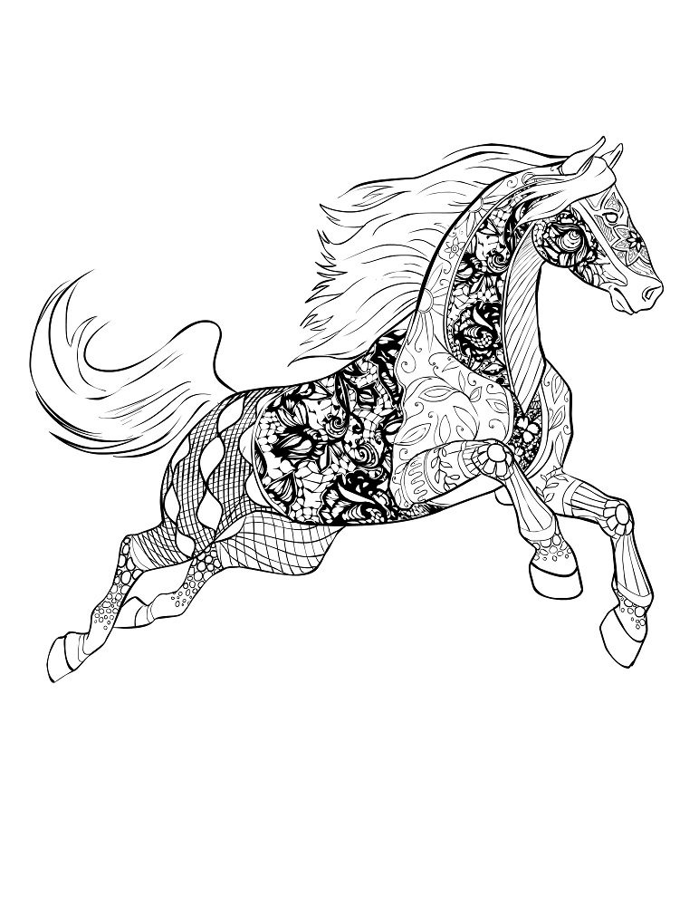 beautiful horse coloring pages for adults
