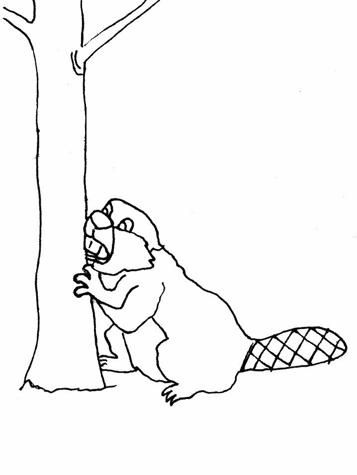Beaver Animals Coloring Pages