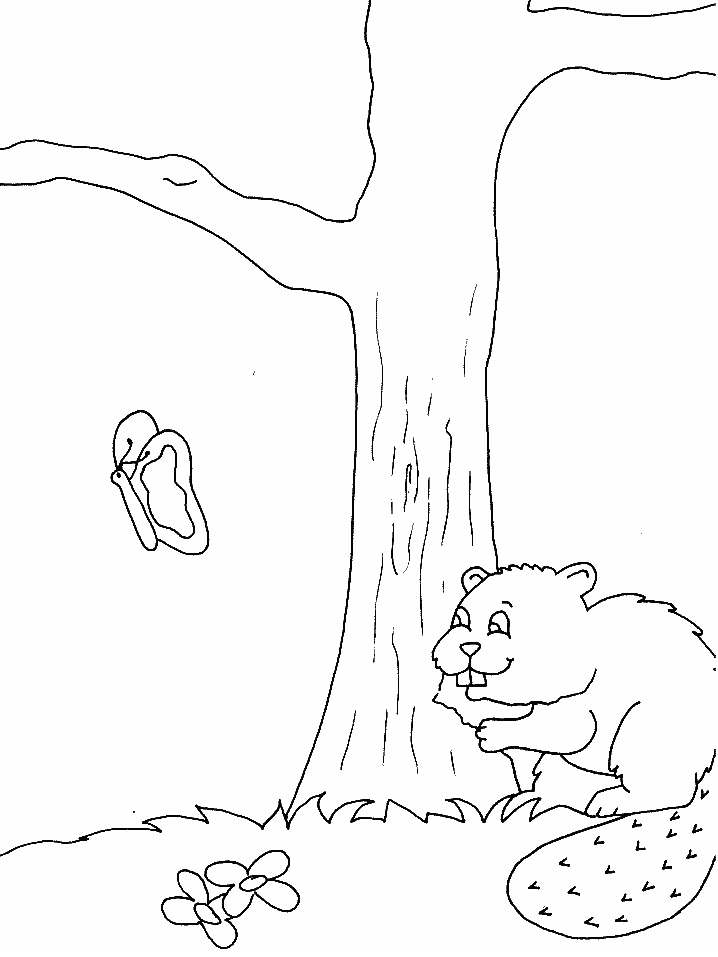Baby Beaver Coloring Pages