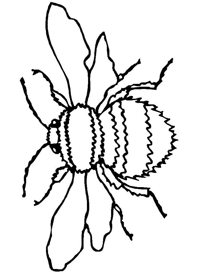 Bees Coloring Page