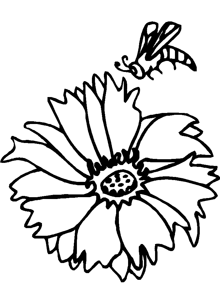 Bee and Flower Coloring Page