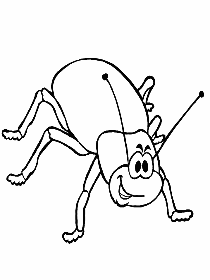 Beetle Animals Coloring Pages