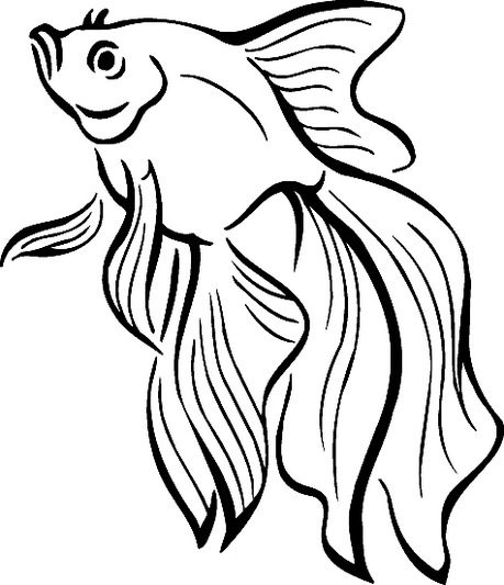 beta fish coloring page