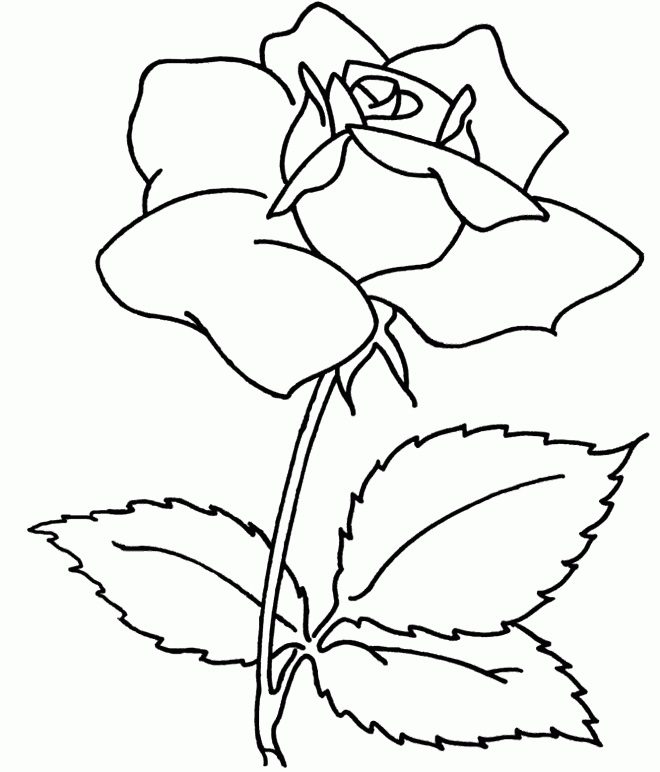 big flower coloring pages