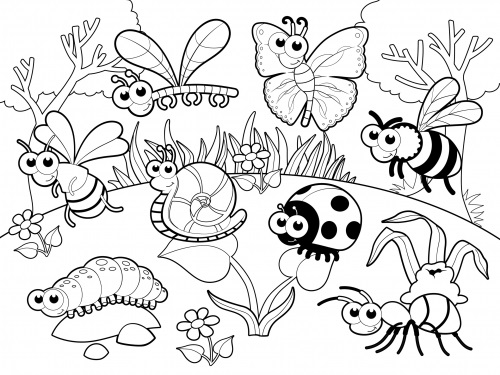 Big Spring Insects Printables Coloring Pages
