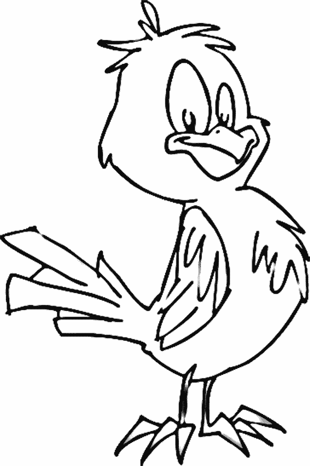 Cute Bird Coloring Pages