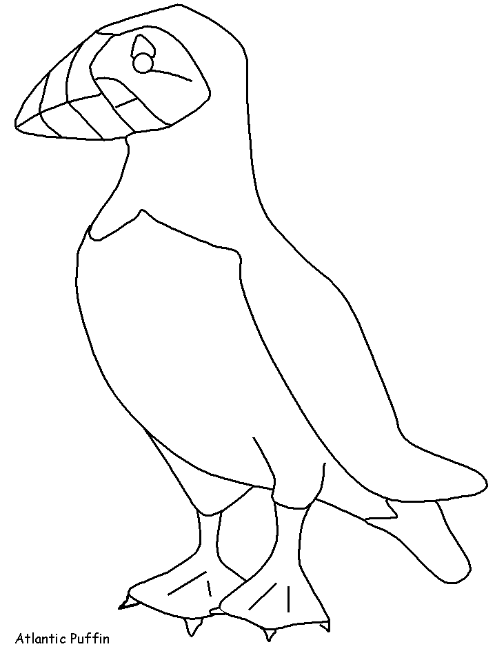 Atlantic Puffin Coloring Pages