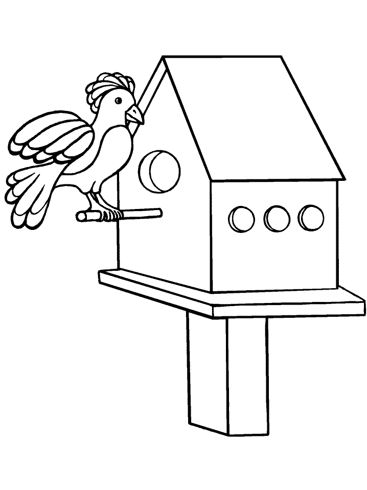 Printable Coloring Pages Birds
