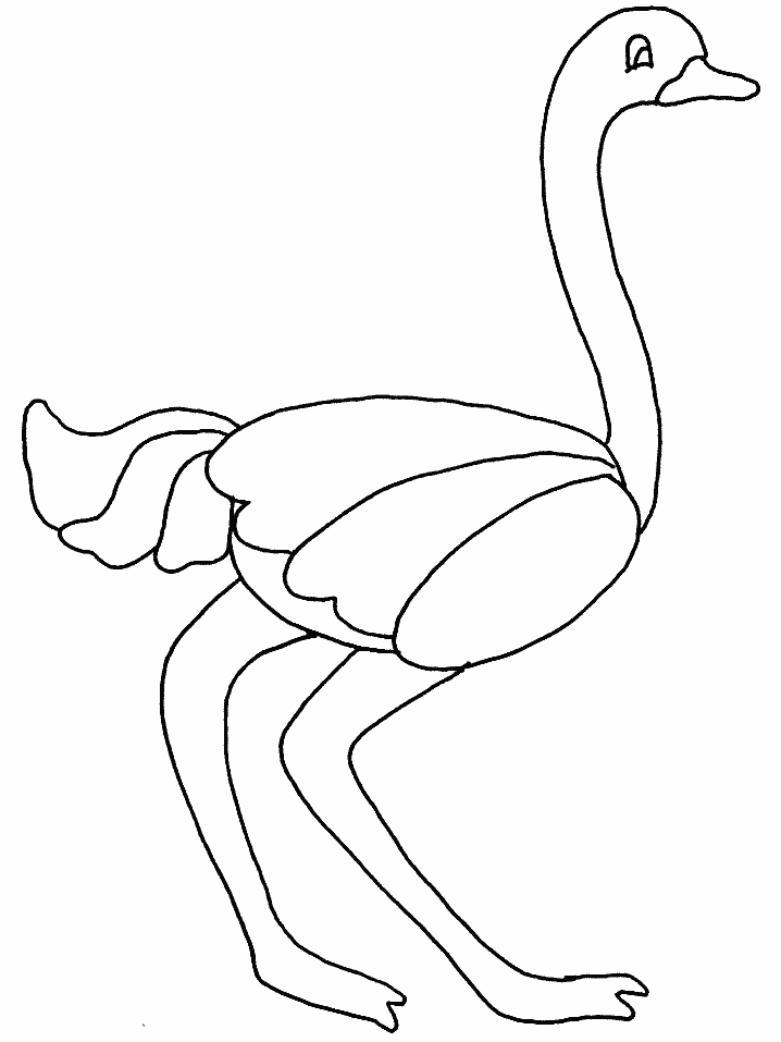 Coloring Pages Bird