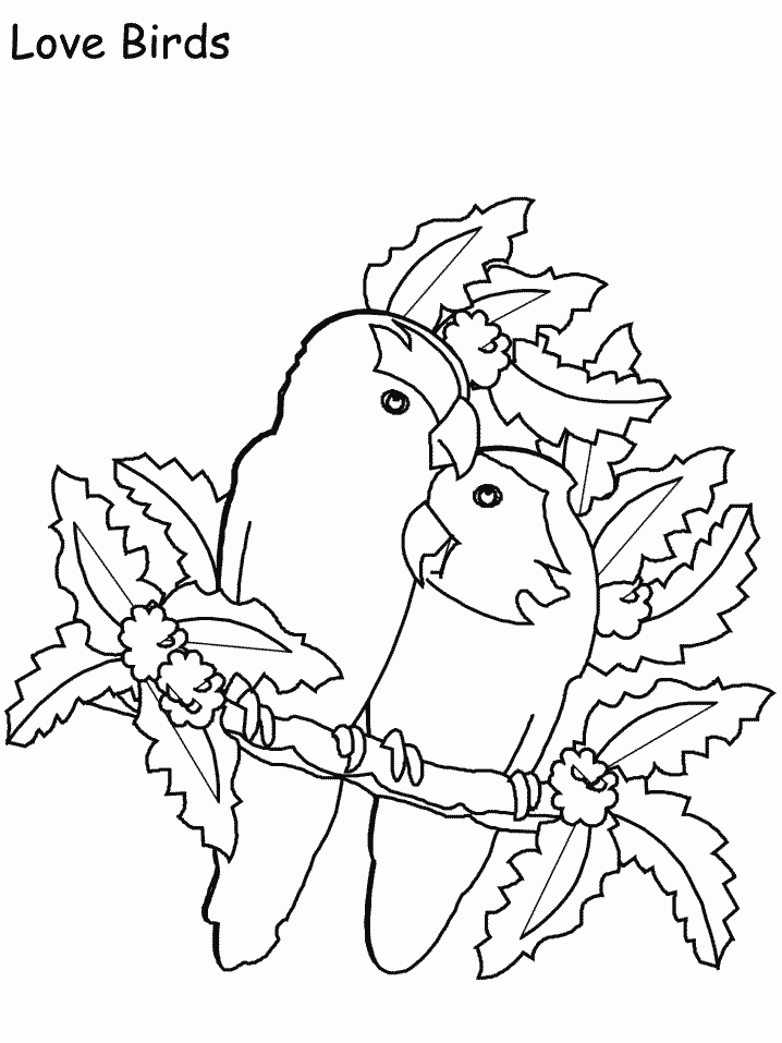 Love Birds Coloring Pages